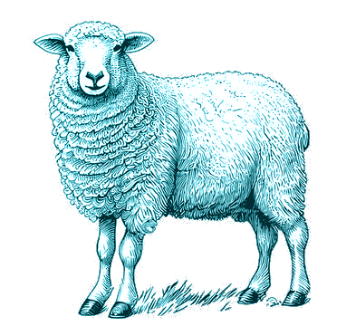 sheep vector yaragene