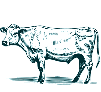 cow3 vector yaragene 01